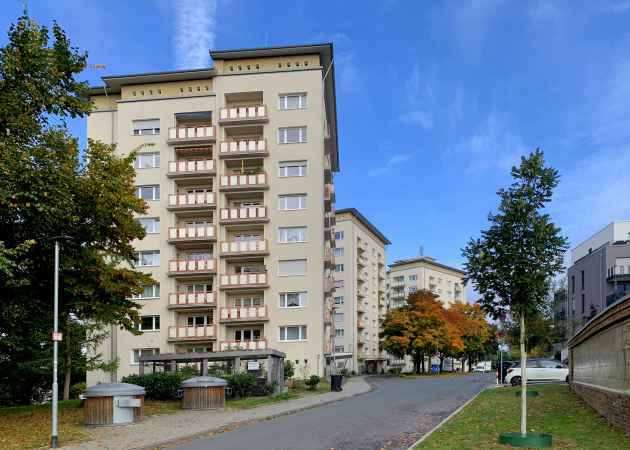 Lärchenwäldchen, Gießen, Hessen, Deutschland, Oktober 2021